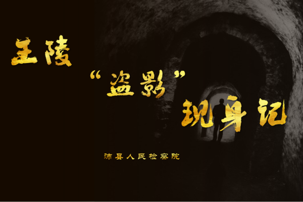 王陵盗影现身记.png