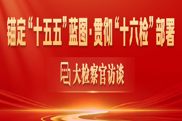 锚定“十五五”蓝图·贯彻“十六检”部署.png