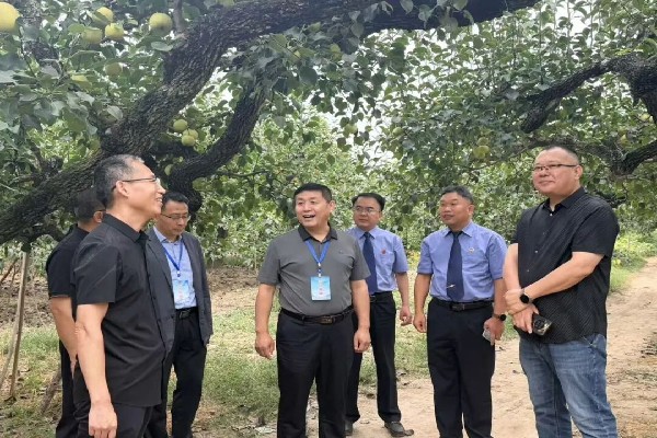 沛县政协提案与检察建议双向衔接转化守护“绿色国宝”.jpg