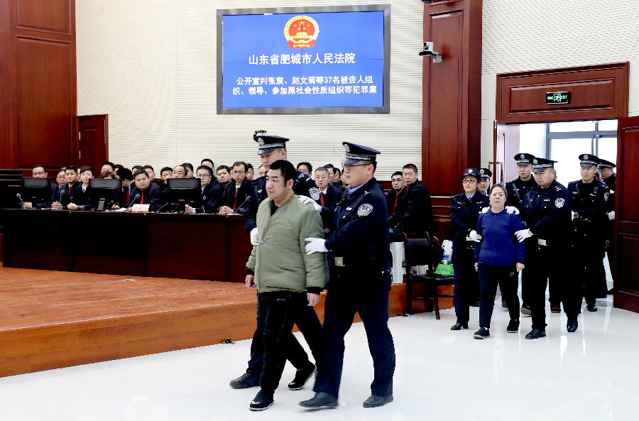 山东新泰张宸,赵文菊母子涉黑案一审宣判 自从"少爷"当上社区